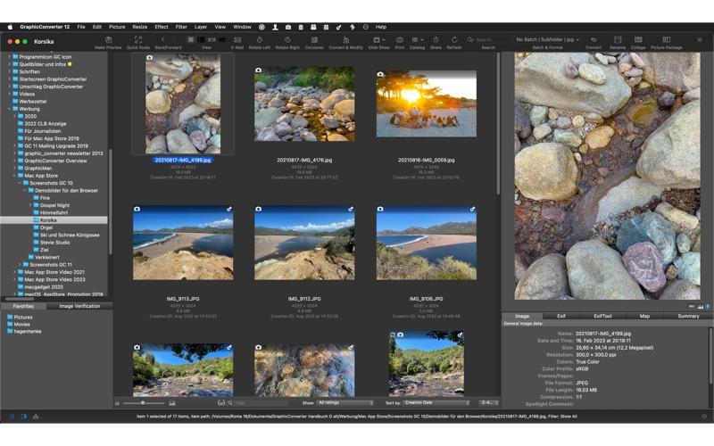 GraphicConverter convert images between 200+ import and 80+ export formats including heic, webp, avif, jpeg xl, and raw screenshot
