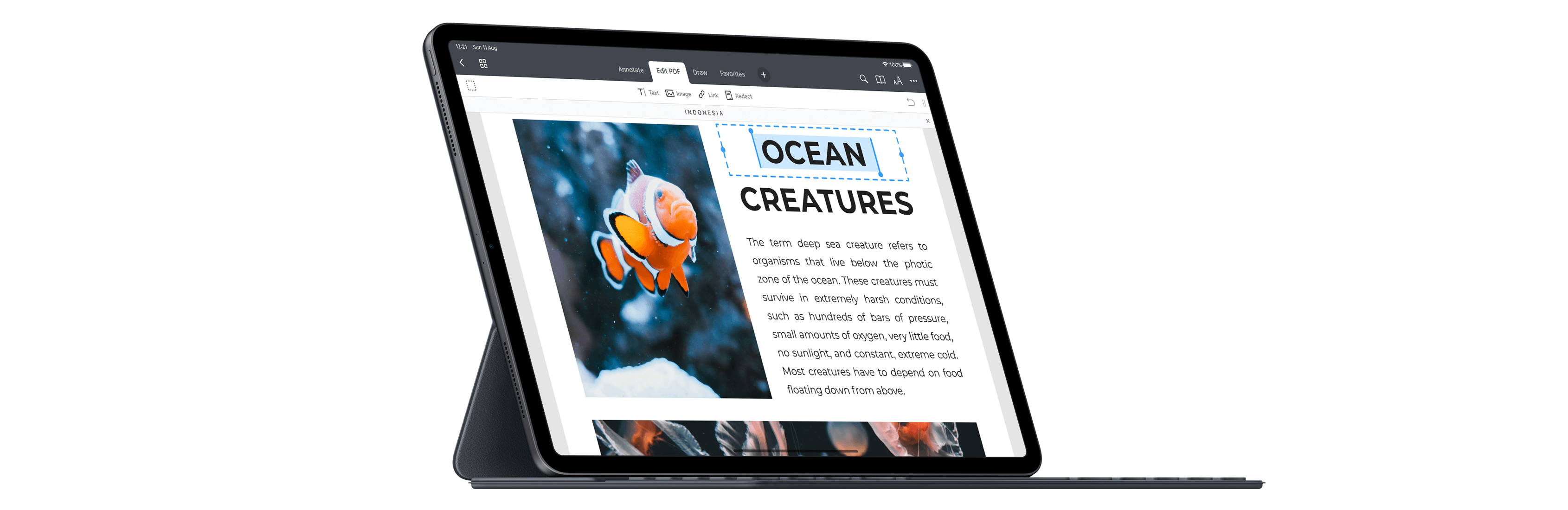 PDF Expert screenshot 1