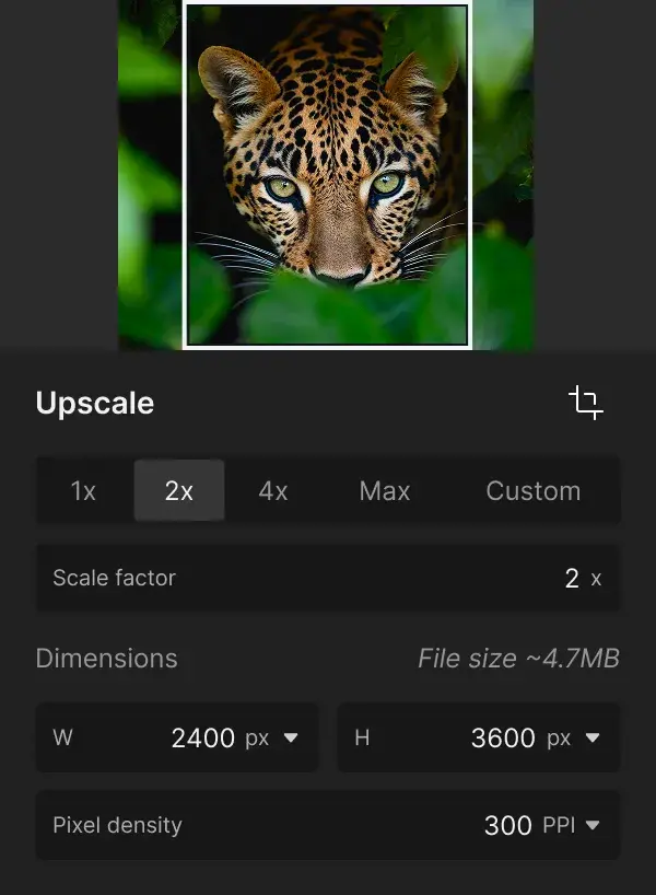 Enlarge low-resolution, cropped, or older source files for modern web and print requirements
