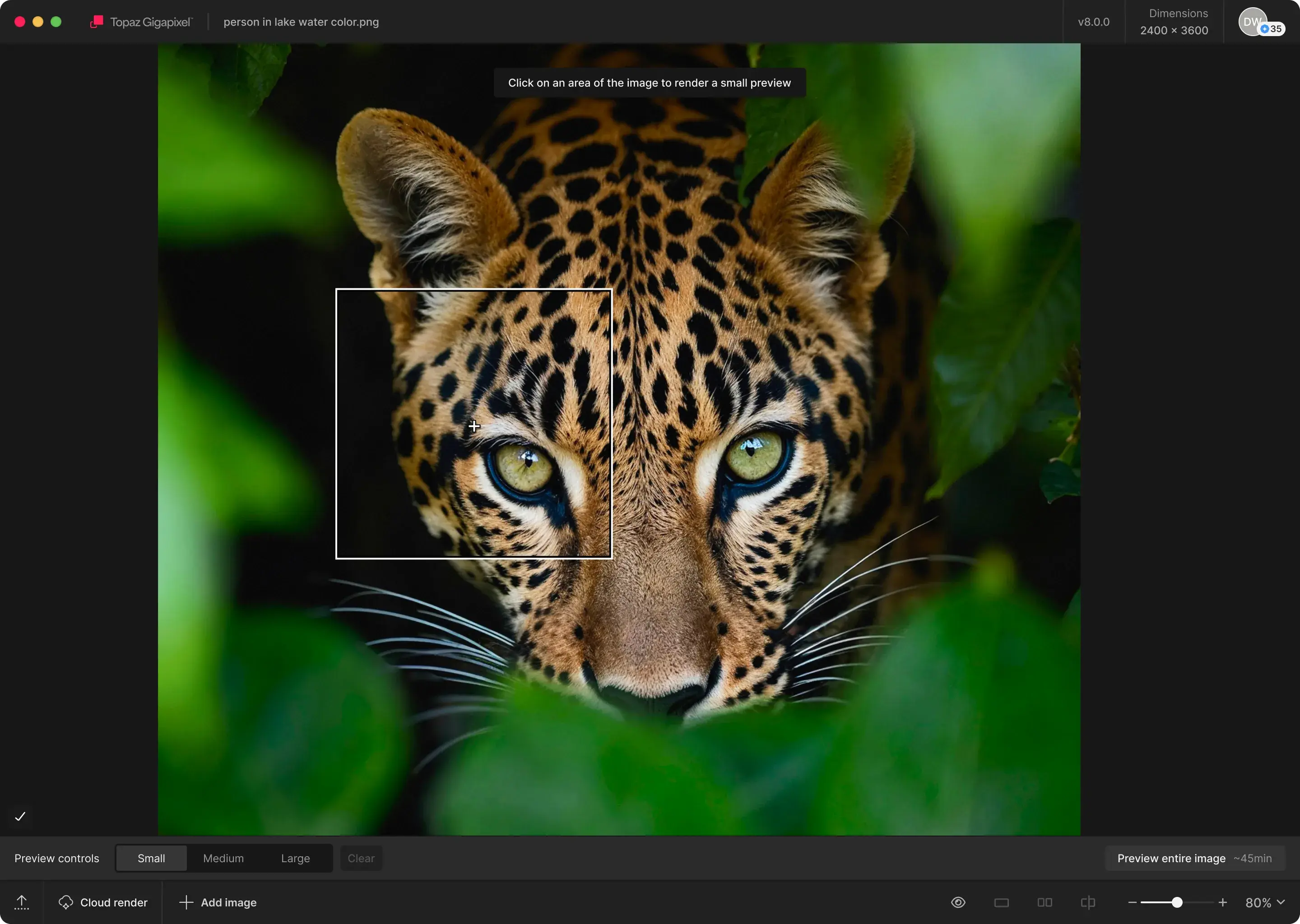 Topaz Gigapixel Pro upscale images with ai models tuned for detail recovery and natural edge preservation screenshot