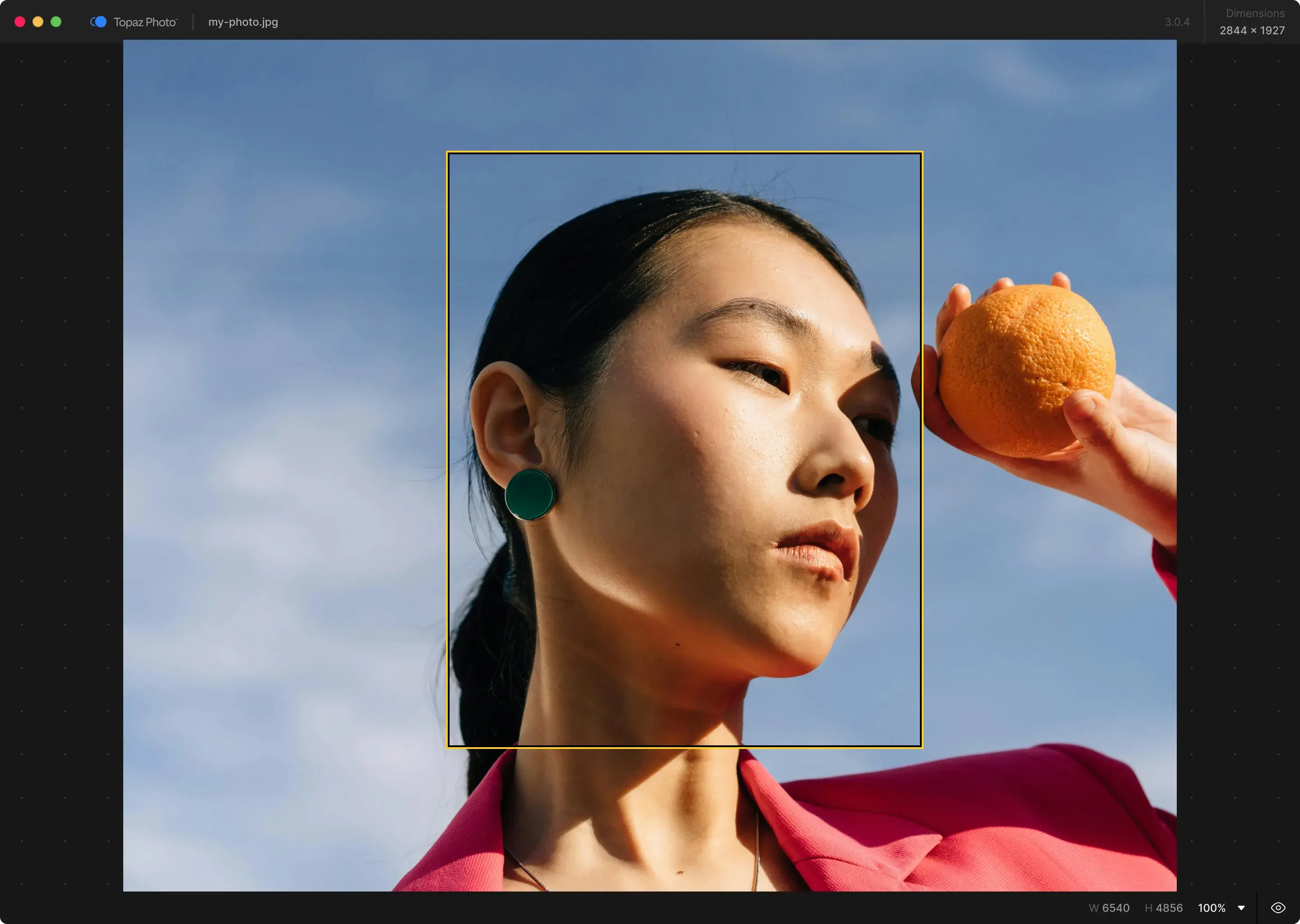 Topaz Photo Pro enhance image detail with ai sharpening, denoise, and deblur models tuned for difficult source conditions screenshot